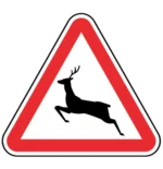 A19b - Animais selvagens