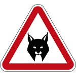 A19c - Linces ibericos