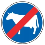 D13d – Fim da pista obrigatória para gado em manada