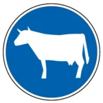 D7d – Pista obrigatória para gado em manada